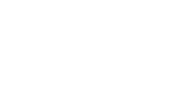 R.A.V. Projects